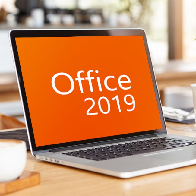 office 2019 pro